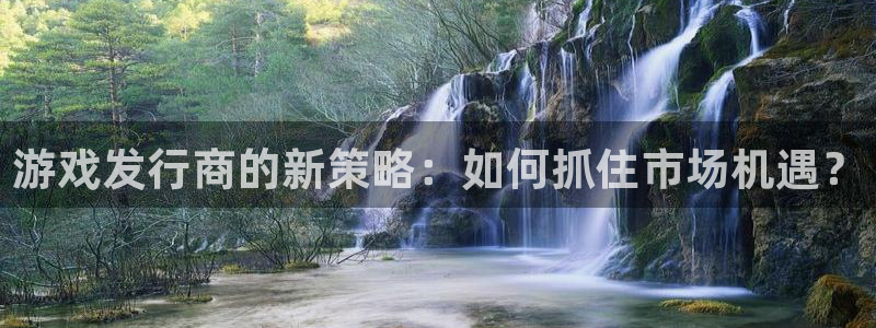 ag街机子出版社：游戏发行商的新策略：如何抓住市场机遇？