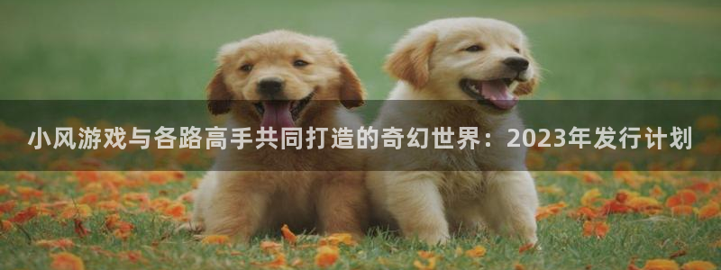 ag街机子公司怎么样：小风游戏与各路高手共同打造的奇幻世界：2023年发行计划