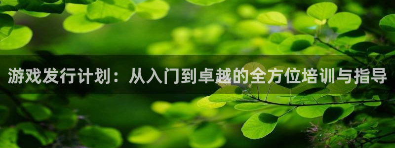 ag街机官网注册登录官网：游戏发行计划：从入门到卓越的全方位培训与指导