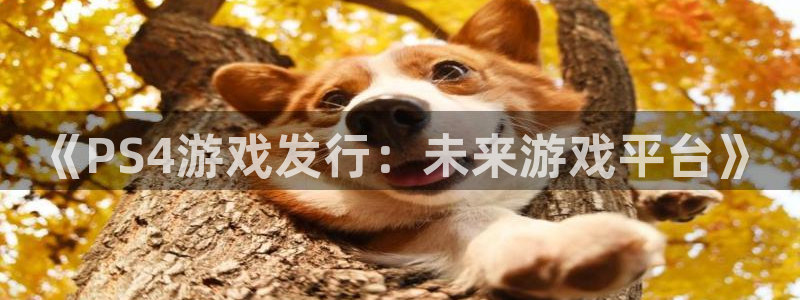 ag街机官网登录注册账号失败怎么回事：《PS4游戏发行：未来游戏平台》