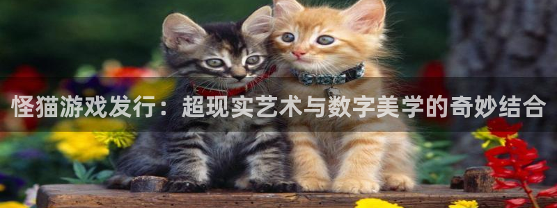 ag街机官网挂机项目怎么样