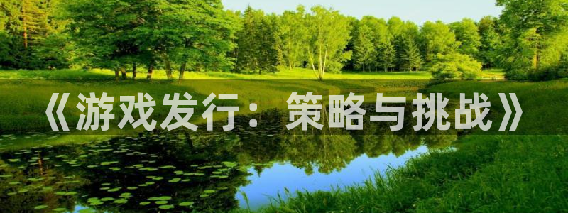 ag街机子文化创意有限公司：《游戏发行：策略与挑战》