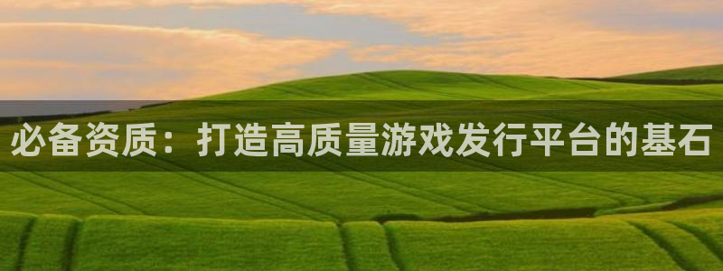 广州ag街机投资：必备资质：打造高质量游戏发行平台的基石