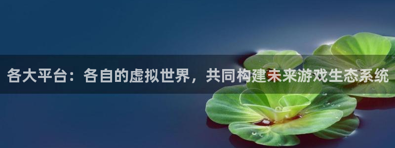 江苏ag街机智得新材料有限公司：各大平台：各自的虚拟世界，共同构建未来游戏生态系统