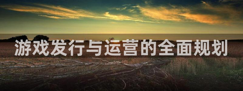 ag街机官网平台怎么样啊：游戏发行与运营的全面规划