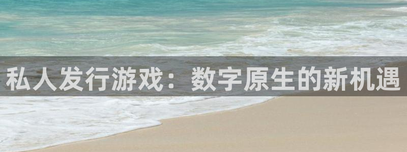 ag街机官网官网注册账号怎么注册：私人发行游戏：数字原生的新机遇