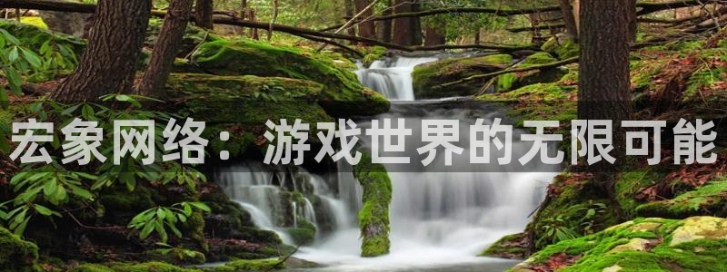 ag街机的寓意：宏象网络：游戏世界的无限可能
