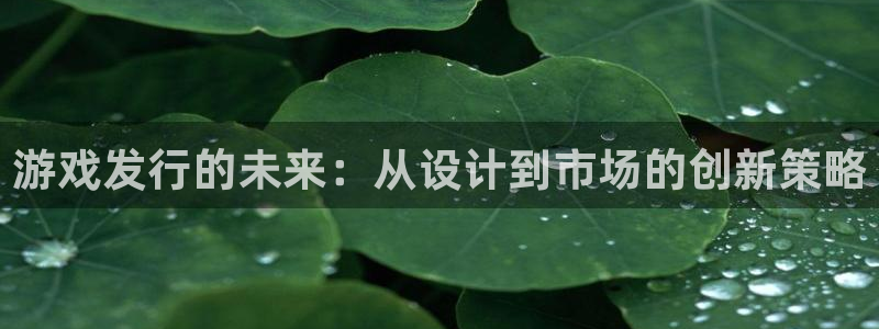 ag街机官网解绑银行卡怎么弄：游戏发行的未来：从设计到市场的创新策略
