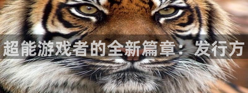 陕西ag街机子文化公司加我qq