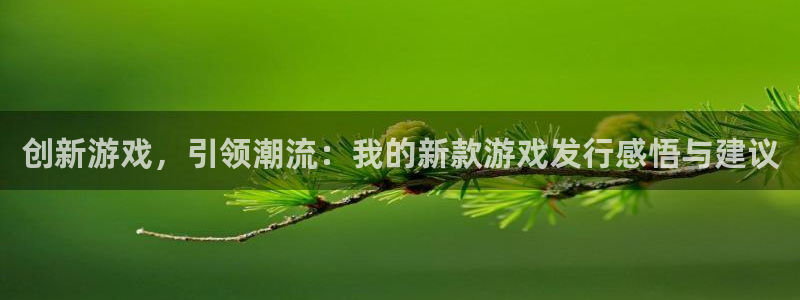 广州ag街机运动服：创新游戏，引领潮流：我的新款游戏发行感悟与建议