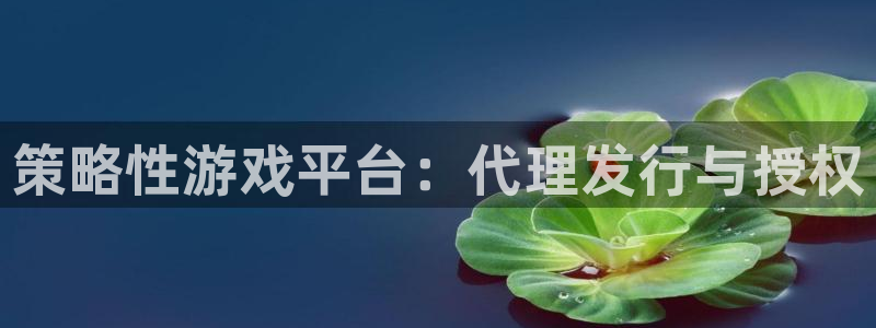 ag街机官网客服服务电话：策略性游戏平台：代理发行与授权