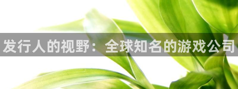 ag街机子出版社：发行人的视野：全球知名的游戏公司