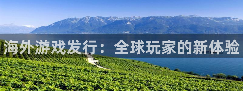 ag街机智得官网