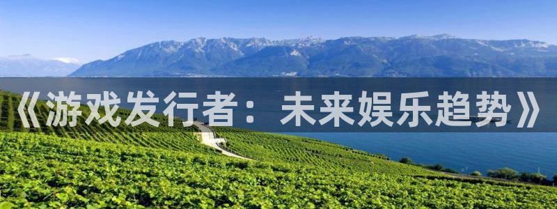 ag街机官网注册登录不了：《游戏发行者：未来娱乐趋势》