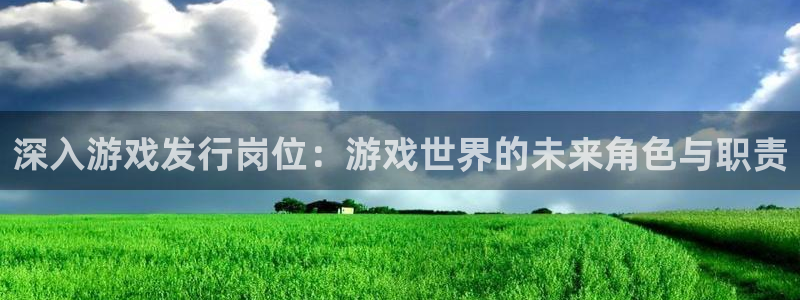 ag街机官网登录注册：深入游戏发行岗位：游戏世界的未来角色与职责