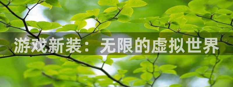ag街机官网注册平台是什么：游戏新装：无限的虚拟世界