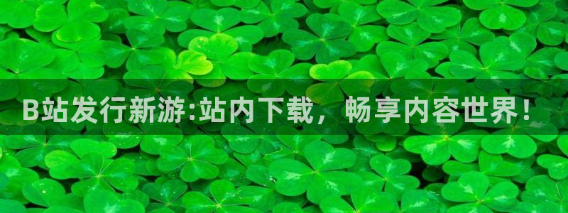 ag街机衣服怎么样：B站发行新游:站内下载，畅享内容世界！